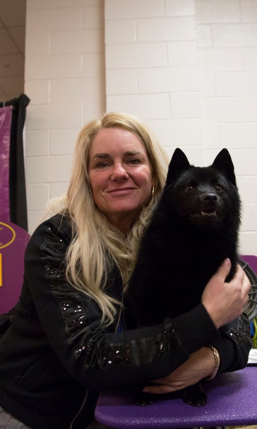 Dog drama at Westminster: Schipperke ruled out for top prize